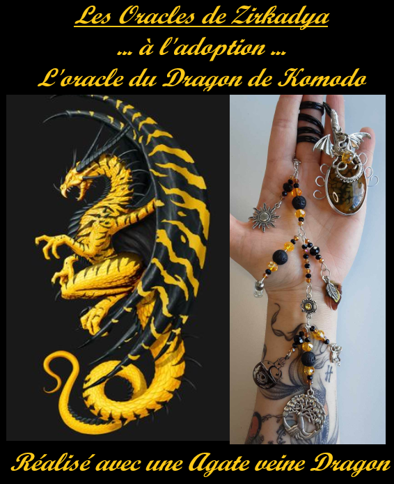 L oracle du dragon de komodo 2